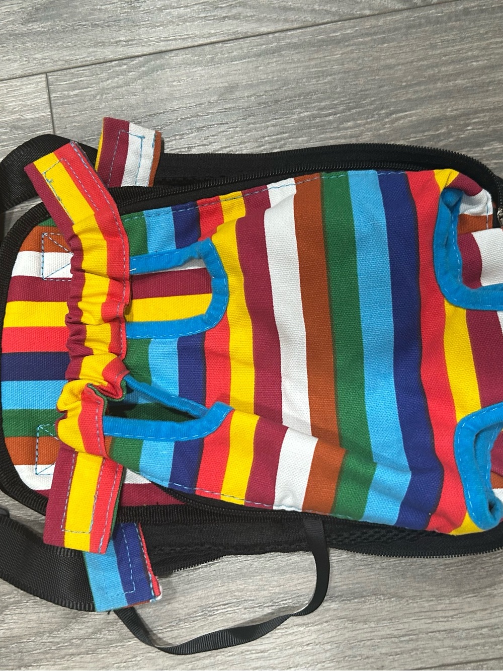 Striped Rainbow Dog Carrier Harness - Multi-Color
